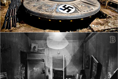“Archaeologists Shake the World: The Contents of Hitler’s Newly Found Bunker Are Truly Terrifying”