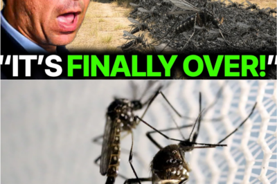 Biologists Are Panicking After Florida’s “Mosquito Erasing Mosquito” Experiment Spun Into a Mutation No One Predicted 🤯🧬🌴