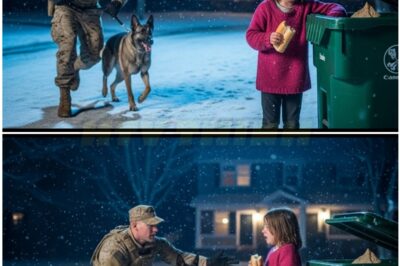 On a freezing Christmas Eve in the heart of a desolate neighborhood, the snow fell thick and heavy, blanketing the world in a silent shroud of white.