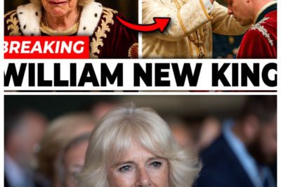 Queen Camilla STRIPPED OFF Royal Title As King Charles Gives The Throne To William