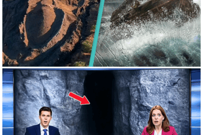 “Ark of the Forbidden Dawn 🌄🗝️—Scientists Step Inside Turkey’s Mysterious Structure and Uncover a Revelation That Could Rewrite Human History!” In a moment that sent shockwaves through archaeological circles, researchers claim they found hidden chambers filled with symbols, relics, and an eerie preserved presence that left even hardened experts shaking, whispering that whatever dwelled in Noah’s Ark wasn’t just ancient—it was powerful enough to terrify modern science 👇