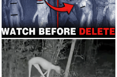 Clear Cryptid Encounters Caught on Camera in 2025 — Footage You Weren’t Meant to See