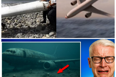 💥 “The Malaysian Flight MH370 Mystery Finally Solved — And It Isn’t Good! What They Discovered Will Terrify You!” After years of speculation and countless theories, the mystery of Malaysia Airlines Flight MH370 has finally been solved. But the truth is far more disturbing than anyone could have imagined. What experts uncovered about the plane’s fate suggests a far darker story, involving sabotage, hidden military operations, and eerie cover-ups. The terrifying revelations about MH370’s disappearance will forever change our understanding of the case 👇