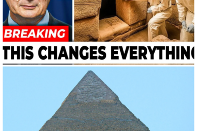 Scientists Discover a Hidden Door Inside the Great Pyramid — What Lies Beyond Will Shock You