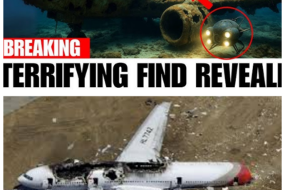 💥 “Shocking New Discovery: Wreckage of Malaysia Airlines Found — What Experts Found Will Leave You Speechless!” The wreckage of Malaysia Airlines Flight MH370 has been found, and the shocking discoveries inside are more disturbing than anyone imagined. What experts uncovered at the site raises chilling new questions about the flight’s final moments, revealing unexplained signs of sabotage, hidden technology, and a far darker truth than we were ever told. The revelation about the wreckage will change everything we thought we knew about MH370 👇