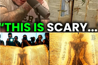 🔥 Joe Rogan Reads a ‘Message From Christ’—And What Happened Next Shocked Believers and Skeptics Alike