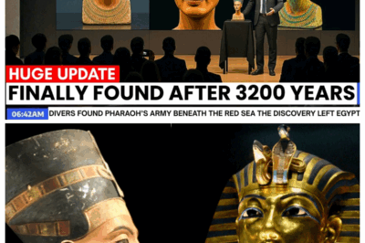 Scientists Finally Opened Nefertiti’s Lost Tomb — What They Found Shocked The Entire World