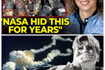 What Truly Happened to the Bodies of the Challenger Disaster Crew