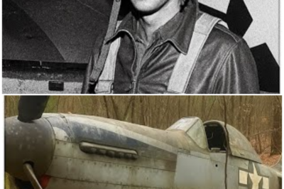 Fighter Pilot Vanished in 1943 — 60 Years Later, His Rusted Plane Was Found in a Forest…