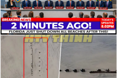 Florida Beaches Shut Down After Divers Uncover Shocking Discovery Beneath the Waves