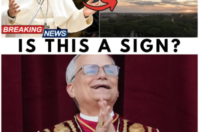 ⚡😱 When Heaven Tweets: Pope’s Blessing Sparks Sky-Writing Birds—Miracle or Marketing Stunt? 😱⚡