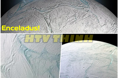 NASA Confirms New Organic Molecules on Enceladus—and Reignites the Fear That Life Beyond Earth Is Already Here