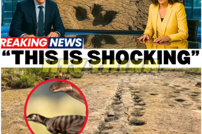 Thousands of Dinosaur Footprints Found in Perfect Formation — And the Pattern Is Making Scientists Uncomfortable
