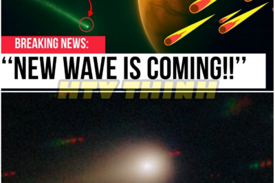 Unnatural Multiplication Detected: 3I/ATLAS Approaches Mars With a Growing Fleet