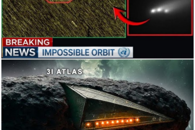 🦊 NASA HAS BEEN TRACKING 3I/ATLAS AROUND THE CLOCK — AND WHAT HAPPENED NEXT SHOCKED EVEN TOP SCIENTISTS 👁️