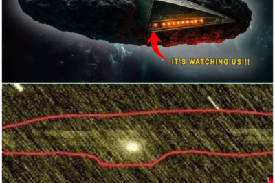 🦊 UNEXPLAINED MOVEMENTS, SILENT ALERTS, AND A COSMIC PHENOMENON NO ONE WAS PREPARED FOR 🚨