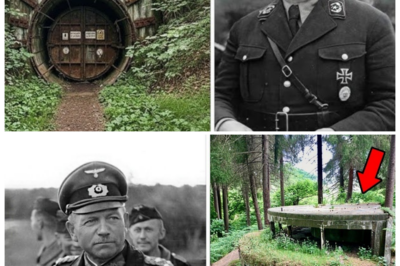 German General Vanished After WWII — 77 Years Later, His Hidden Austrian Estate Emerges With Vaults No One Knew Existed 🏰 Inside the sprawling mansion, dusty safes and secret rooms revealed caches of documents, gold, and forbidden artifacts suggesting the general didn’t just disappear—he was orchestrating a shadow empire that may have lasted decades 👇