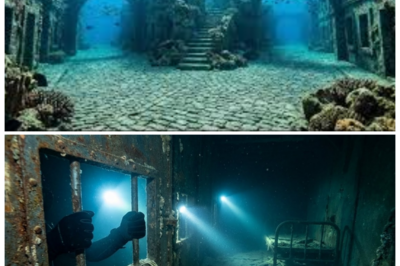 “HOT: Sunken POW Transport ⚓ Divers Discover Locked Cells Preserved Under the Sea — Whispers of Forgotten Prisoners, Midnight Screams, and a Final Hour That History Tried to Erase” — Witnesses say the chilling silence inside the wreck feels alive, as if the iron bars remember the desperation, betrayals, and unspoken secrets of prisoners who never left the ship’s belly — a dark testament the ocean refused to hide 👇