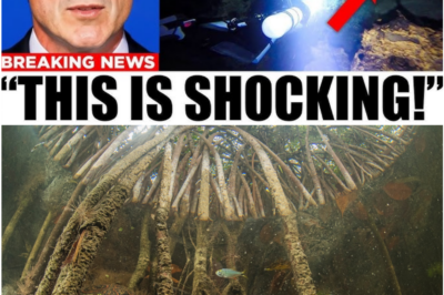 Scientists Terrified After Underwater Drone Explores Jacob’s Well’s Deadly Depths