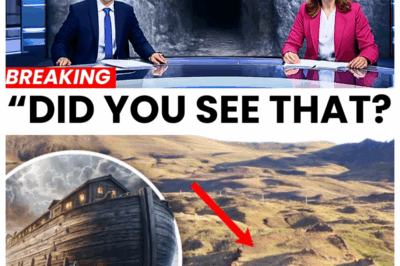Scientists Finally Enter Noah’s Ark in Turkey — What They Found Is SHOCKING!