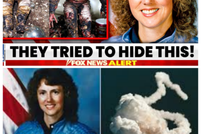 Things You Didn’t Know About The Challenger Disaster That Will Blow Your Mind