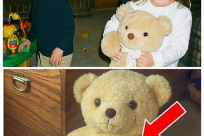 Girl Vanished From Her Living Room in 1998 — 16 Years Later Her Brother Cuts Open Her Teddy Bear…