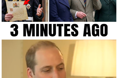 Buckingham Palace Trembles Prince William Approved Title Change For Duchess Sophie’s Children!