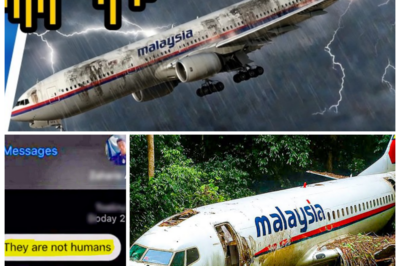 Flight MH370 Passenger Sent a Terrifying Final Text — And 10 Years Later It’s Being Read as the Missing Key to the Disappearance 📱 The narrator leans in with acid disbelief as a timestamped message resurfaces from the fog of denial, teasing coded language, an impossible cell ping, and a chilling calm that contradicts every official theory, suggesting the plane didn’t simply vanish but followed a sequence understood by at least one terrified soul who tried to warn the world before the signal died and history chose amnesia 👇