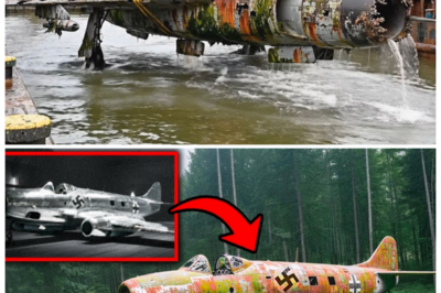 AI Just Rebuilt a Lost Nazi Jet — And the Simulation Exposed a Design So Ruthless It Left Scientists Silent ✈️ The narrator’s voice tightens as algorithms stitch together burned blueprints and radar ghosts, revealing speeds that defy wartime limits and control systems that look chillingly modern, teasing that this wasn’t a miracle of engineering but a warning from history about how desperation accelerates innovation, forcing today’s experts to admit the past may have been closer to the future than anyone is comfortable acknowledging 👇