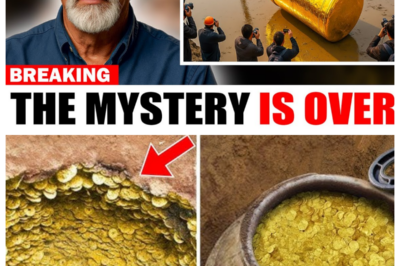 Oak Island Mystery Solved? Rick Lagina Finds $98M Gold Treasure Near Smith’s Cove!
