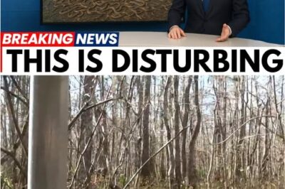 “What Emerged From the Florida Swamps Will Leave You Speechless”