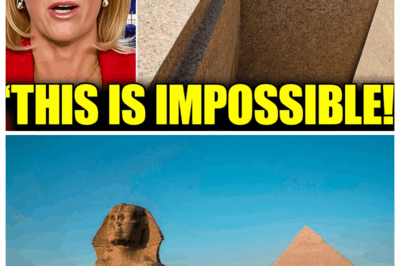 Ancient Egyptian Stone Cutting Mystery Finally Cracked – and The Findings Shocked Everyone!