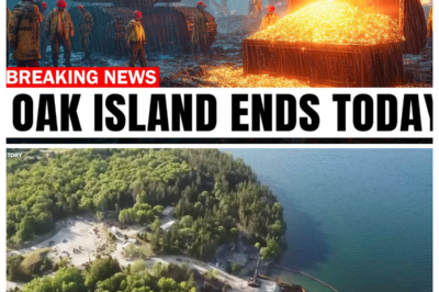 HAS THE OAK ISLAND TREASURE FINALLY BEEN FOUND