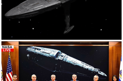 🚨NASA FINALLY SHOWS DECLASSIFIED IMAGES OF INTERSTELLAR OBJECT 3I/ATLAS—AND IT’S GETTING WORSE THAN WE THOUGHT! After years of secrecy, NASA has finally declassified the stunning images of the interstellar object 3I/ATLAS—and what they reveal is more disturbing than anyone could have predicted. This object, hurtling through space at an unimaginable speed, is far more complex and ominous than we ever imagined. What’s hidden in these images, and why are scientists so concerned? The truth behind 3I/ATLAS is far darker than anyone expected. Brace yourself for a revelation that could change everything. 👇