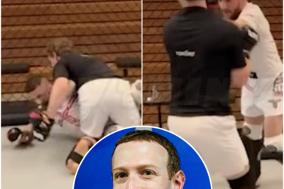 🎄 Merab Dvalishvili slaps Mark Zuckerberg for taking him down during three-round sparring session