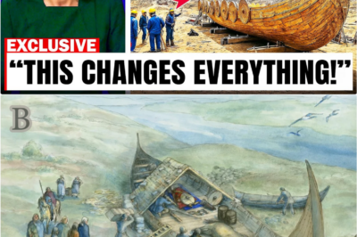 ⚠️ Not a Warrior, Not a King: The Viking Burial That Defies History