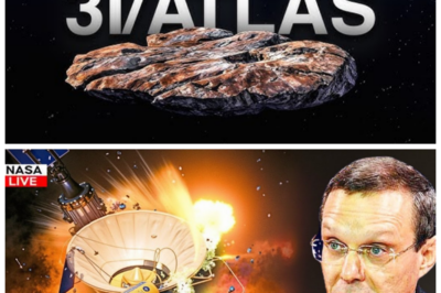 🚨VOYAGER 1 ATTEMPTED TO INTERCEPT 3I/ATLAS—AND THEN SOMETHING UNEXPECTED HAPPENED! In a shocking turn of events, NASA’s Voyager 1 spacecraft attempted to intercept 3I/ATLAS, the mysterious interstellar object that has been baffling scientists for years. But what happened next was beyond anyone’s expectations. The mission, meant to gather crucial data, has left experts scrambling for answers as a cosmic anomaly interfered with the attempt. What went wrong, and why did this interception end in such an unexpected way? Prepare for a revelation that will change everything we know about space exploration. 👇