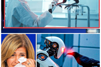 AI Just Decoded Crow Speech — And What They’re Saying About Humans Is Brutally Unflattering 🐦‍⬛ The narrator smirks as algorithms peel back caws into patterns of warning, mockery, and memory, revealing a feathered archive that labels us noisy, predictable, and dangerously careless, teasing that crows don’t just watch our cities, they catalogue our mistakes and gossip about them from rooftops with a cold, communal intelligence that’s been judging us longer than we’ve been studying them 👇