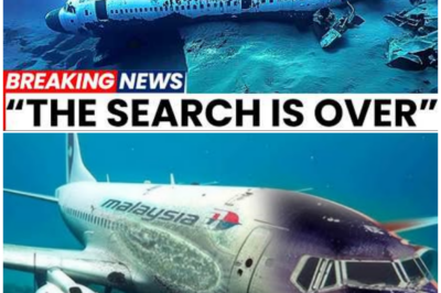 🦊 THEY SAID THE SEARCH WAS OVER—11 YEARS LATER, MH370 IS BACK IN FOCUS AND THE NEW DISCOVERY LEFT INVESTIGATORS STUNNED ⚠️