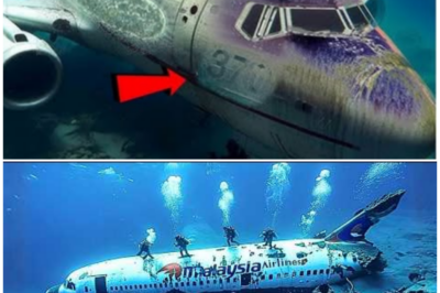 🦊 BURIED IN THE DEEP, HIDDEN IN DATA: THE MH370 FINDING THAT REIGNITED A GLOBAL STORM OF QUESTIONS 🌊