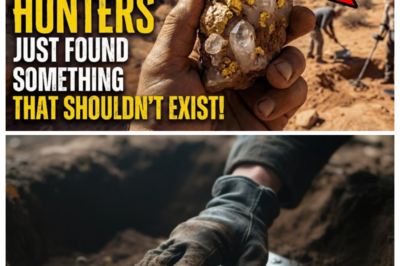 America’s Treasure Hunters Just Found Something That Shouldn’t Exist