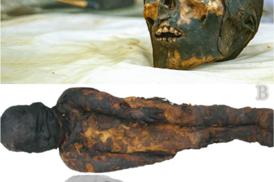 They X-Rayed a 2,300-Year-Old Mummy—What Appeared on the Screen Shocked Everyone