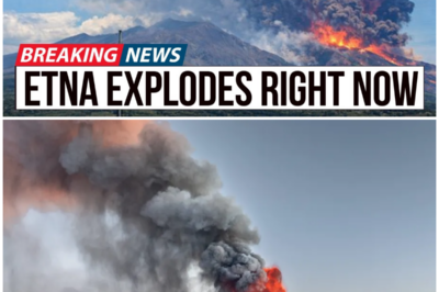 😱 Is Another Disaster Looming? Mount Etna’s Lava Fountains Surge! 😱 – HTT