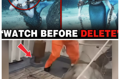 What Did Deep-Sea Researchers Capture on Their Cameras—And Why Are Scientists Calling This Unidentified Ocean Figure One of the Most Unsettling Discoveries Ever Recorded Underwater? In the silent darkness miles below the surface, an eerie shape drifted into view—something so strange, so unexpected, that the research team froze as their instruments kept rolling. The obscure details surrounding this mysterious deep-sea encounter are sparking intense debate and pushing readers to click the article link in the comment before the footage disappears from attention.