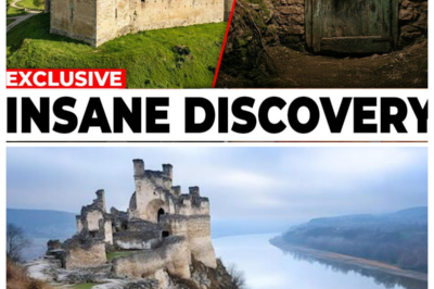 Experts Entered The Sealed Room of a 12th-Century Castle… What They Found Inside Is Terrifying!