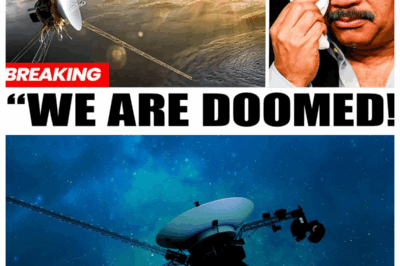 What Voyager Detected at the Edge of the Solar System That Shocks NASA