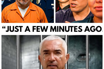 Cesar Millan’s Final Sentencing. Goodbye Forever!