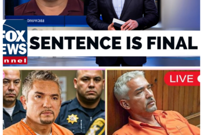 Cesar Milan From Dog Whisperer Sentenced To Life Imprisonment