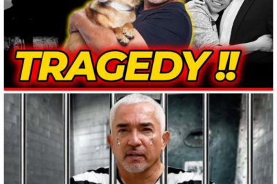 What Happened To Cesar Millan? 2025 Updates Reveal A Shocking Twist