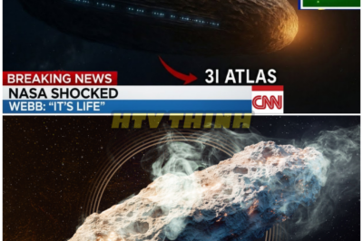 🦊 3i Atlas Sends Shockwaves Through the Scientific World—A Breathtaking Discovery So Earth-Shattering It Has Experts Whispering About “Undeniable” Alien Life 👁️‍🗨️